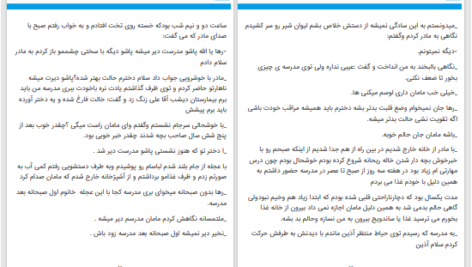 دانلود پی دی اف کتاب در جست و جوی شوهر پزشک شین.ن PDF