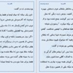 دانلود پی دی اف کتاب ظالم و زیبا پرتو فرهمند PDF
