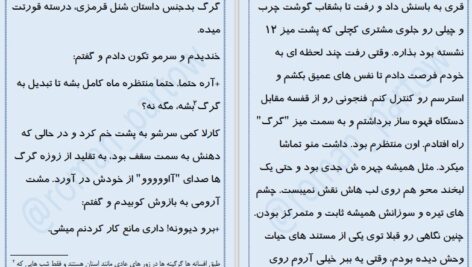 دانلود پی دی اف کتاب ظالم و زیبا پرتو فرهمند PDF