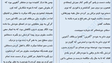 دانلود پی دی اف کتاب ظالم و زیبا پرتو فرهمند PDF