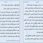 دانلود پی دی اف کتاب ظالم و زیبا پرتو فرهمند PDF