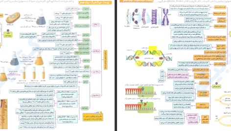 دانلود پی دی اف کتاب میگ میگ زیست دوازدهم PDF