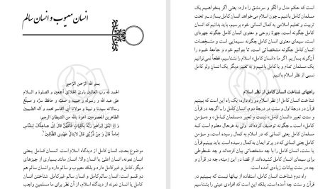 دانلود پی دی اف کتاب انسان کامل مرتضی مطهری PDF