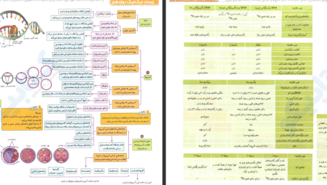 دانلود پی دی اف کتاب میگ میگ زیست دوازدهم PDF