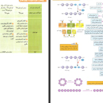 دانلود پی دی اف کتاب میگ میگ زیست دوازدهم PDF