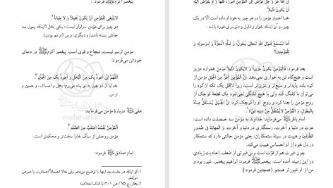 دانلود پی دی اف کتاب انسان کامل مرتضی مطهری PDF