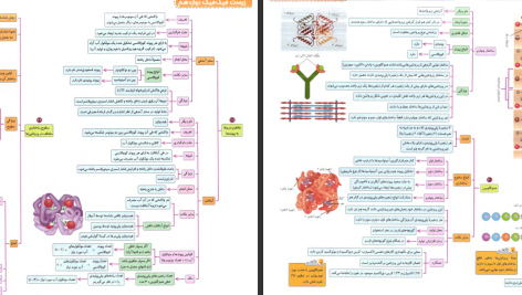 دانلود پی دی اف کتاب میگ میگ زیست دوازدهم PDF