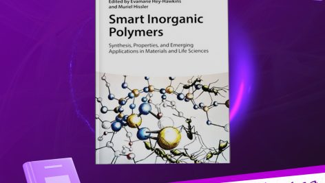 دانلود پی دی اف کتاب PDF Muriel Hissler Smart Inorganic Polymers