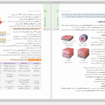 دانلود پی دی اف کتاب جمع بندی زیست شناسی مهروماه PDF