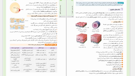 دانلود پی دی اف کتاب جمع بندی زیست شناسی مهروماه PDF