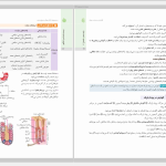 دانلود پی دی اف کتاب جمع بندی زیست شناسی مهروماه PDF