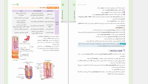 دانلود پی دی اف کتاب جمع بندی زیست شناسی مهروماه PDF