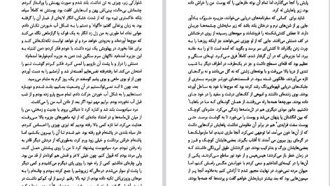 دانلود پی دی اف کتاب آقای فو جان مکسول کوتسی PDF