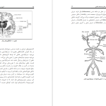 دانلود پی دی اف کتاب اصول بیهوشی در جراحی مغز و اعصاب مهرداد مسعودی فر PDF