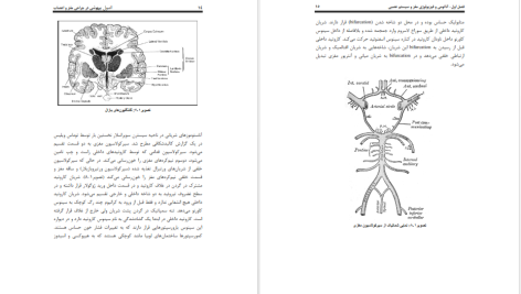 دانلود پی دی اف کتاب اصول بیهوشی در جراحی مغز و اعصاب مهرداد مسعودی فر PDF