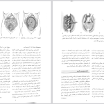 دانلود پی دی اف کتاب بارداری و زایمان ویلیامز 3 مهرناز ولدان PDF