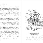 دانلود پی دی اف کتاب جهان هولوگرافیک مایکل تالبوت PDF