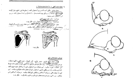 دانلود پی دی اف کتاب حرکت شناسی فریدون تندنویس PDF