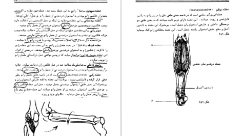 دانلود پی دی اف کتاب حرکت شناسی فریدون تندنویس PDF