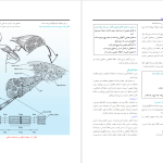 دانلود پی دی اف کتاب درسنامه ارتوپدی و شکستگی بهادر اعلمی هرندی PDF