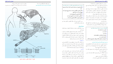 دانلود پی دی اف کتاب درسنامه ارتوپدی و شکستگی بهادر اعلمی هرندی PDF