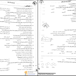 دانلود پی دی اف کتاب دور دنیا در چهار ساعت تجربی جلد 2 PDF