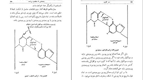 دانلود پی دی اف کتاب رمز تکوین محمود بهزاد PDF