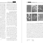 دانلود پی دی اف کتاب زیست شناسی سلولی و مولکولی جلد 1 جواد محمد نژاد PDF