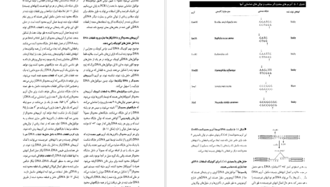 دانلود پی دی اف کتاب زیست شناسی سلولی و مولکولی جلد 1 جواد محمد نژاد PDF