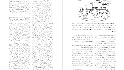 دانلود پی دی اف کتاب زیست شناسی سلولی و مولکولی جلد 1 جواد محمد نژاد PDF