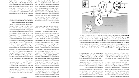 دانلود پی دی اف کتاب زیست شناسی سلولی و مولکولی جلد 1 جواد محمد نژاد PDF