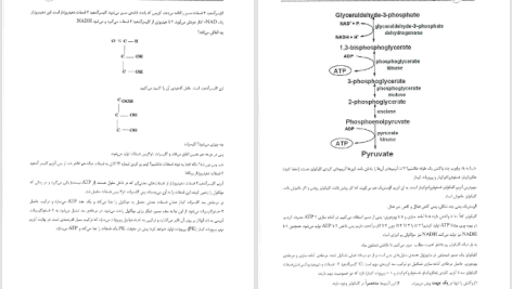 دانلود پی دی اف کتاب سیب سرخ بیوشیمی دکتر میثم مردسلطانی PDF