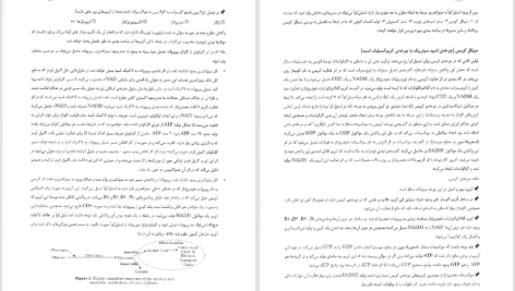 دانلود پی دی اف کتاب سیب سرخ بیوشیمی دکتر میثم مردسلطانی PDF