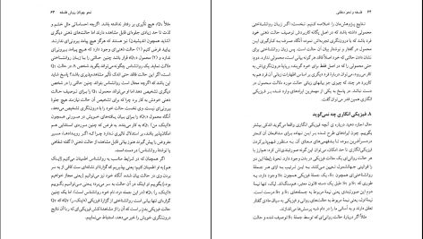 دانلود پی دی اف کتاب فلسفه و نحو منطقی رودلف کارناپ PDF