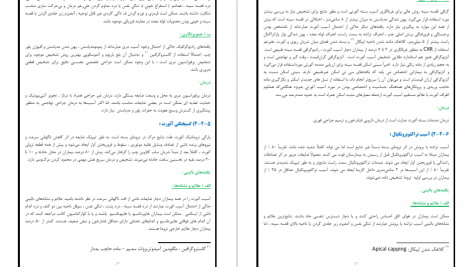 دانلود پی دی اف کتاب مدیریت بیمار ترومایی زکیه جمشیدیان PDF