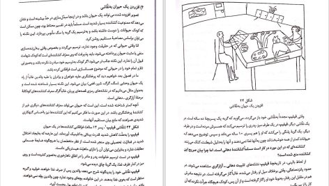 دانلود پی دی اف کتاب نقاشی کودکان پریرخ دادستان PDF