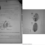 دانلود پی دی اف کتاب نوروآناتومی علوم پایه فرزانه رحمانی PDF