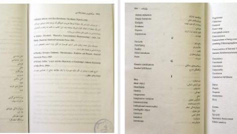 دانلود پی دی اف کتاب پدیدار شناسی پریچهر ابراهیمی PDF