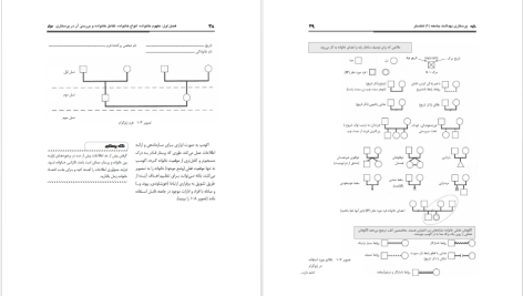 دانلود پی دی اف کتاب پرستاری بهداشت جامعه 2 وحیده حسینی PDF