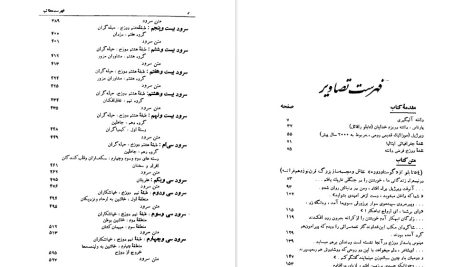 دانلود پی دی اف کتاب کمدی الهی برزخ جلد 2 شجاع الدین شفا PDF