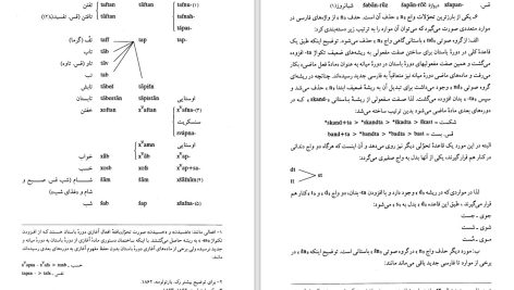 دانلود پی دی اف کتاب واج شناسی تاریخی زبان فارسی مهری باقری PDF