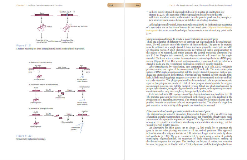 دانلود پی دی اف کتاب PDF Gene Cloning And Dna Analysis Seventh Edition