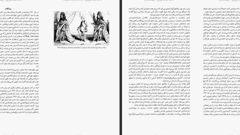 دانلود پی دی اف کتاب آداب دیکتاتوری فرانک دیکوتر PDF