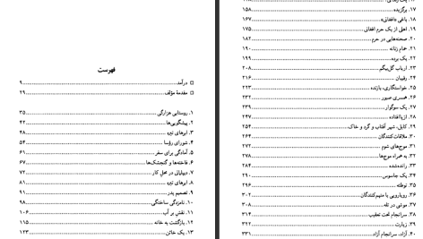 دانلود پی دی اف کتاب دختر وزیر گزارش از جنگ های هزاره لیلیاس همیلتون PDF