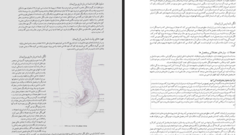 دانلود پی دی اف کتاب زایمان و فراتر از آن جلد دوم مرتضی مدنی نژاد PDF