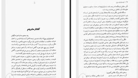 دانلود پی دی اف کتاب فنومنولوژی روح زیبا جبلی PDF