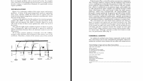 دانلود پی دی اف کتاب معاینه نورولوژیک استفن گلدبرگ PDF