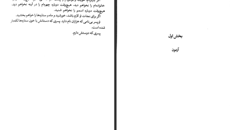 دانلود پی دی اف کتاب ریسیدن سپیده دم الیزابت لیمPDF