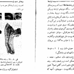 دانلود پی دی اف کتاب مبدا نژادهای انسان میخائیل نستورخ PDF