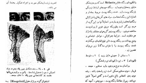 دانلود پی دی اف کتاب مبدا نژادهای انسان میخائیل نستورخ PDF